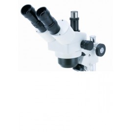 Estereo Microscopio gran base