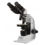 Microscopio Binocular Polarizador