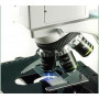 Microscopio Trinocular de Fluorescencia a LED, 1 Filtro