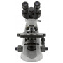 Microscopio Binocular 1000X IOS E-PLAN
