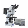 Microscopio Trinocular de Fluorescencia HBO, 2 Filtros