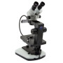 Esteromicroscopio binocular gemológico, estativo inclinable