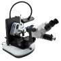 Estereomicroscopio trinocular gemológico, estativo inclinable