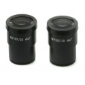 ST-081 Ocular (pareja) WF10x/20 mm