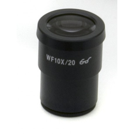 Ocular micrométrico WF10x/20 mm