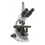 Microscopio Biológico 1000X E-PLAN
