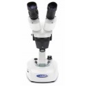 Estereomicroscopio 20x-40x, cabezal inclinado y giratorio 360º, ilum. Incidente y transmitida