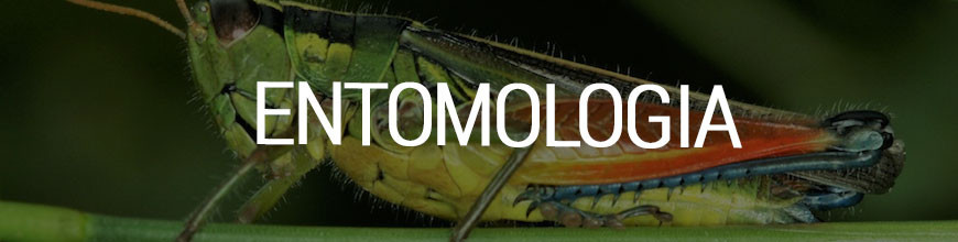 Entomología