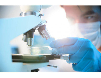 Primera observación a través del microscopio