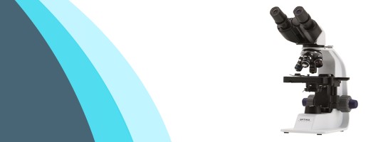 Microscopio para Primaria