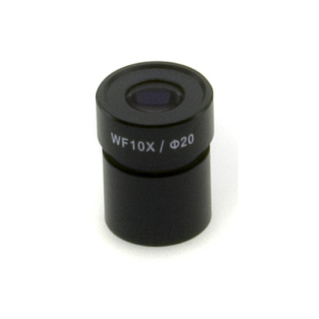 Ocular micrométrico WF10x