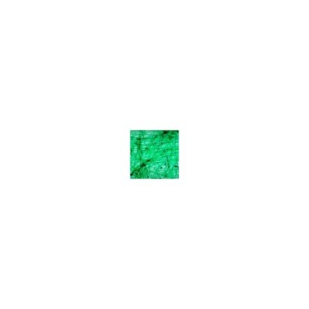 Histología vegetal 1 (12 prep.)
