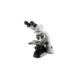 Microscopio Binocular Halogeno